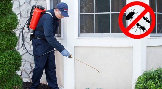 Ovacık Hamam Böceği İlaçlama böcek ilaçlama ve haşere kontrolü — ilaclama-tr.com